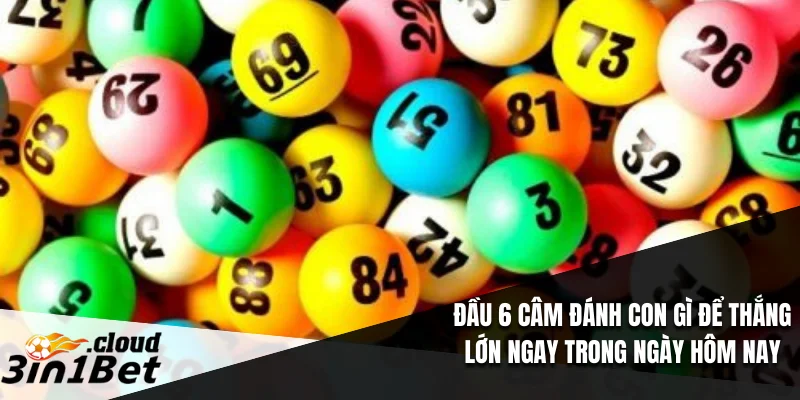 đầu 6 câm đánh con gì